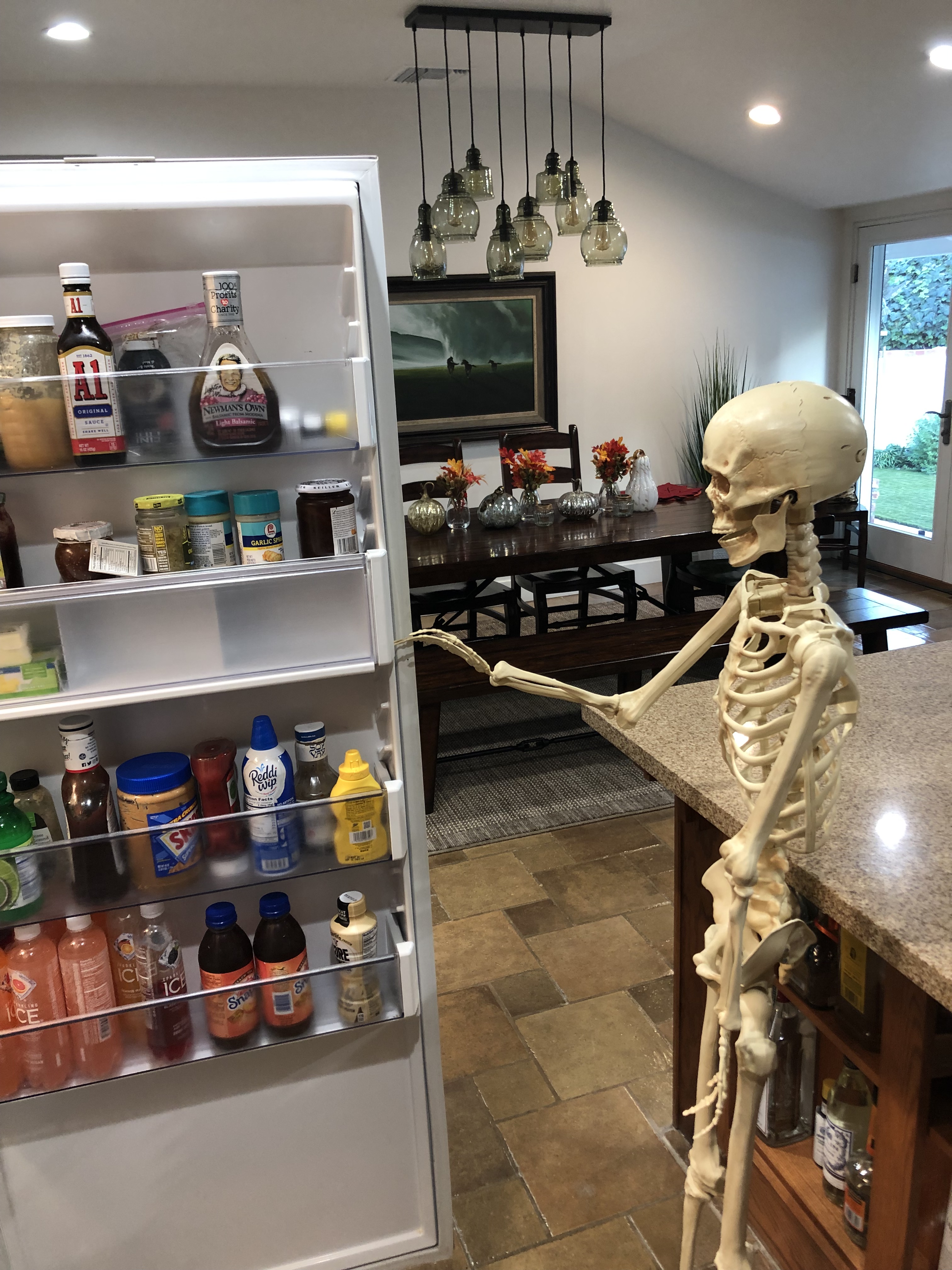 Skeleton Hunger Starving Skeleton – Chasing Phantoms